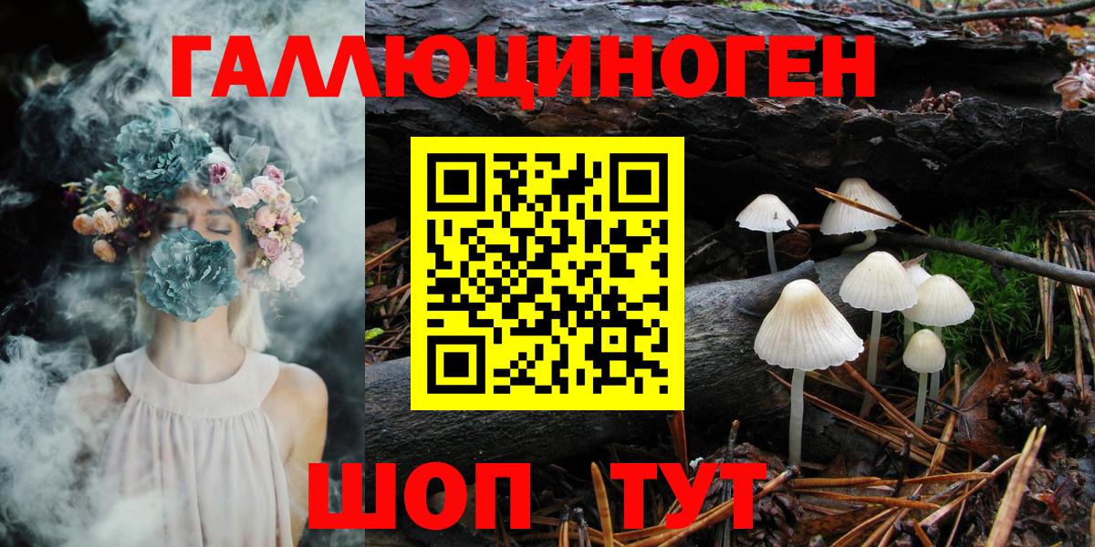 Галлюциногенные грибы прущие грибы  Вход с VPN  Рославль 