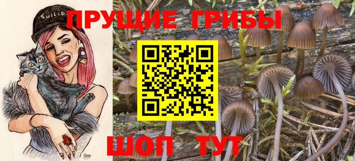 Галлюциногенные грибы Cubensis Рославль